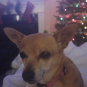 Meet your Posher, Jill